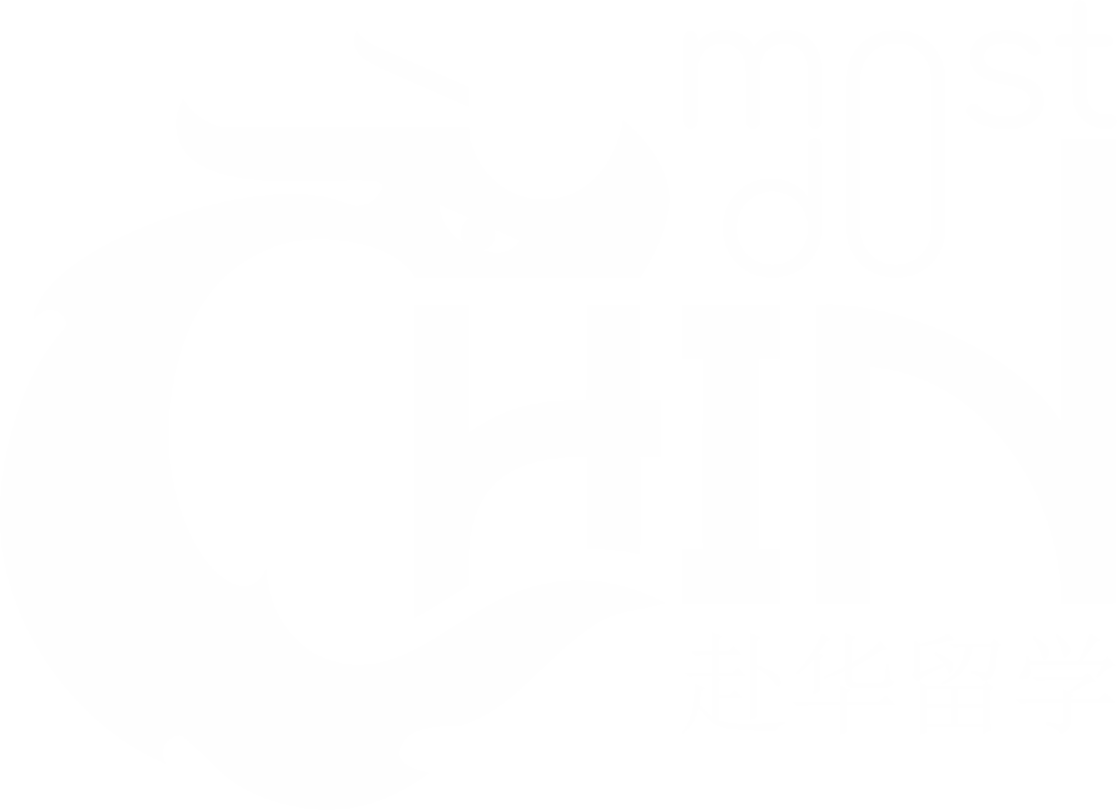 Logo Most do Chin